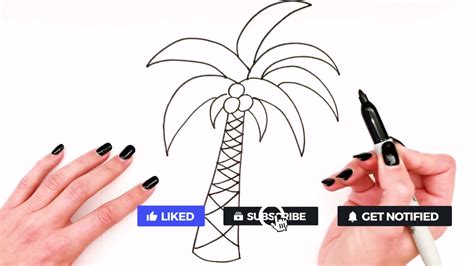 How To Draw A Palm Tree Step By Step Palm Tree Drawing Easy Drawing