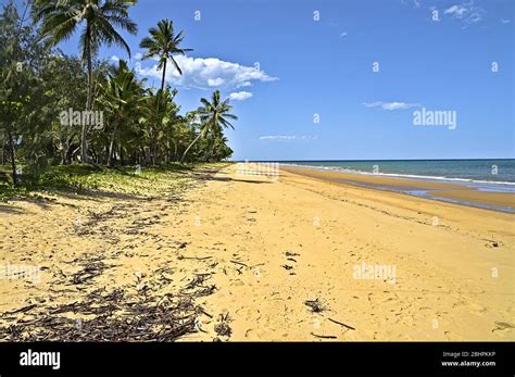Trinity Beach On The East Coast Of Australia Stock Photo Alamy