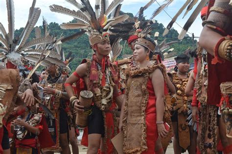 Suku Dayak Identitas Khas Kalimantan