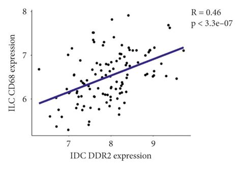 Interplay Between The Expressions Of Ddr2 And Cd68 In Human Invasive Download Scientific