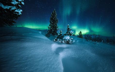 Nordlichter Norwegen Bäume Schnee Sternenhimmel Nacht 2880x1800 Hd