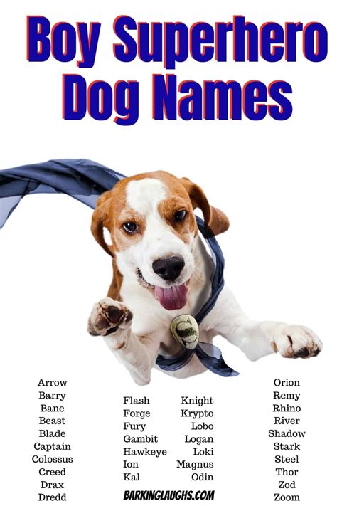 700 Best Boy Dog Names With Meanings Updated 2021 Dog Names Dogs