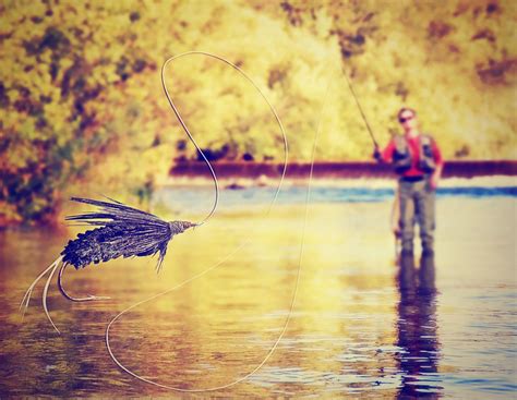 Types Of Fish To Catch Fly Fishing Freshwater And Saltwater Tips
