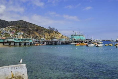The Beautiful Catalina Island Editorial Photo Image Of Water Famous 78033131