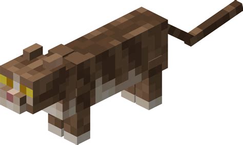 How To Breed Cats In Minecraft Pe