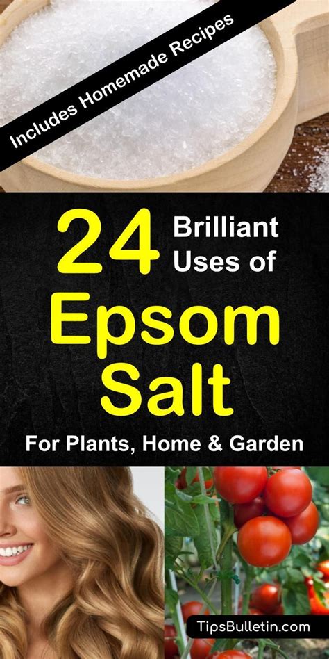 Home & garden for dummies. 24 Brilliant Epsom Salt Uses for Plants, Home and Garden ...