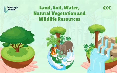 Ncert Class 8 Geography Chapter 2 Land Soil Water Natural