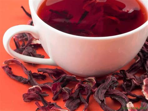 hibisco 8 propiedades y cómo preparar el té de hibisco