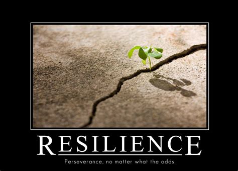 5 Characteristics Of Incredibly Resilient People Resilience Quotes