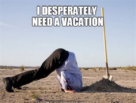 20 I Need A Vacation Memes Thatll Get You Laughing Sheideas