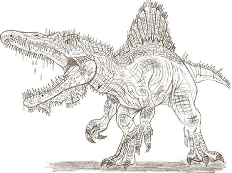 Best Spinosaurus Coloring Page Educative Printable