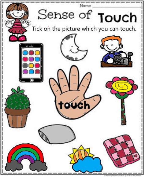Sense of touch online worksheet