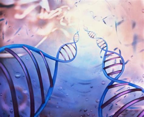 10 Amazing Facts About Dna Listverse