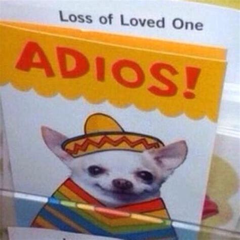 Loss Of A Loved One Too Funny Sympathycard Fail Chihuahua Adios