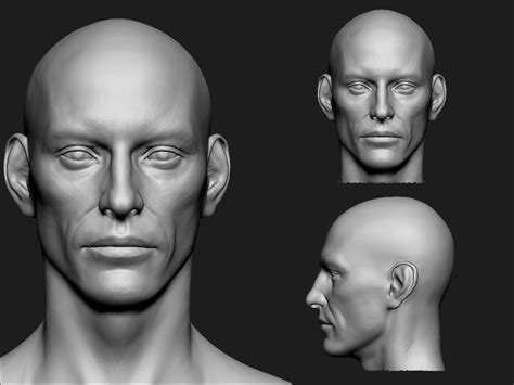 Head Anatomy Anatomy Sculpture Face Reference 3d Face 3d Modeling