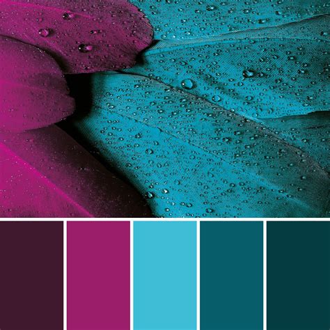 House Color Palettes Color Schemes Colour Palettes Colour Pallette
