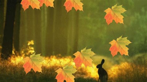 Fall Autumn Nature Leaves Animated Hd Background For Cartoon Videos