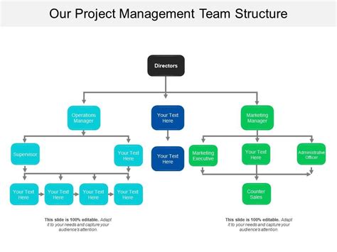 Our Project Management Team Structure Presentation Graphics