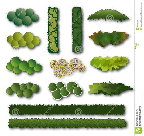 hedges and bush set for landscape design stock vector illustration of green differen