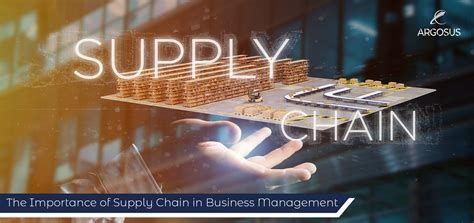 The Importance Of Supply Chain In Business Management