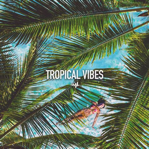 Tropical Vibes A Playlist By Audiomack Electronic Stream New Music On