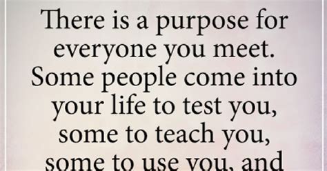 There Is A Purpose For Everyone You Meet Some People Come Into Your