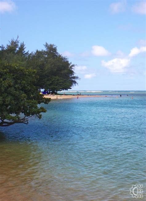 Anini Beach Park In Anini Kauai Hawaii Hawaiian Beach Rentals