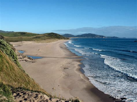 See more ideas about new zealand, beautiful beaches, new zealand beaches. Tourism spotlight: Northland New Zealand | Study From Home