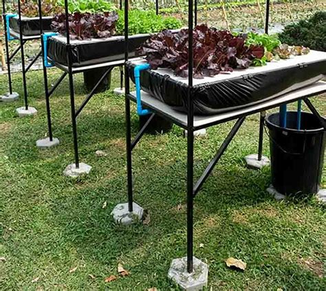 Ebb And Flow Flood And Drain Hydroponic System Ebb And