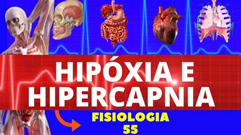 HipÓxia E Hipercapnia Fisiologia Humana Fisiologia De Guyton