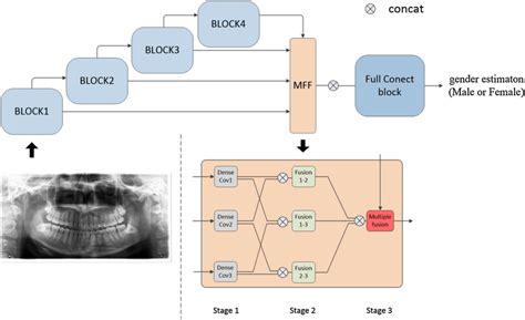 We know 134 definitions for mff abbreviation or acronym in 8 categories. convolutional neural networks with multiple feature fusion ...
