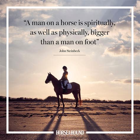 Horseback Riding Quotes