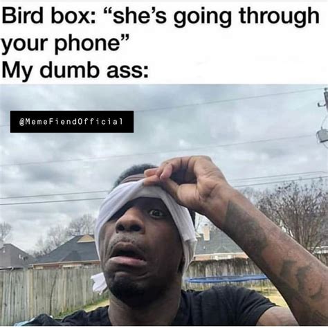 more hilarious “bird box” memes