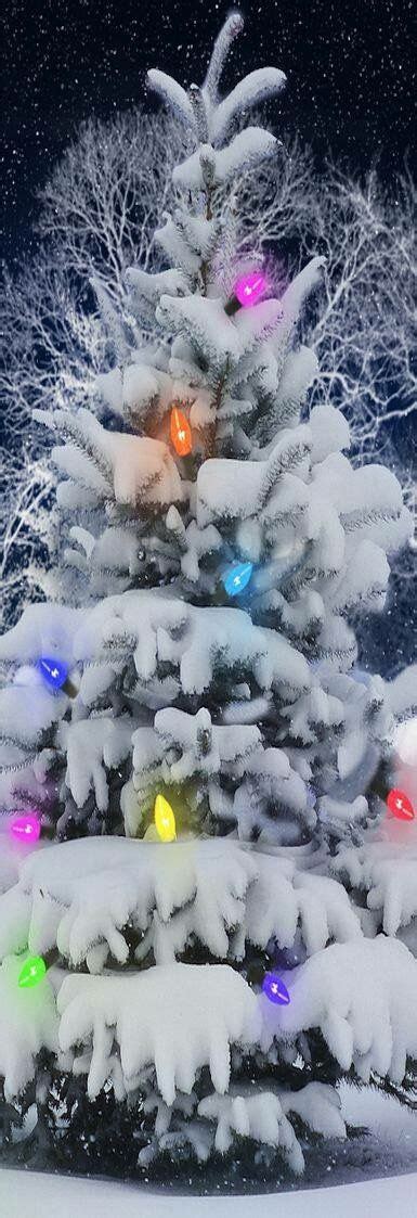 Snow Covered Christmas🎄 Tree With Colored Lights Christmas Tree