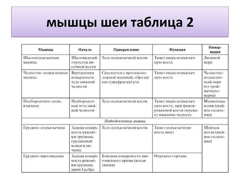 Группа мышц строение и расположение функции Таблица мышц головы и шеи человека Images and Photos finder