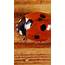 Animal Ladybug  Wallpapersc SmartPhone