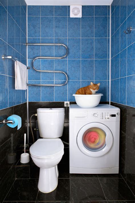 Cleaning Your House The Cat And Earth Friendly Way Catster