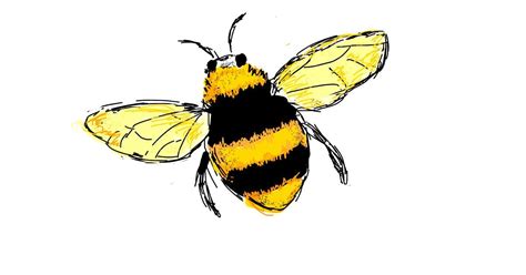 Drawing Of Bee By Lsk Drawize Gallery