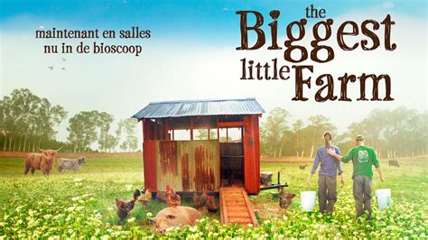 Похожие запросы для the biggest little farm youtube. THE BIGGEST LITTLE FARM || bande annonce-trailer ...