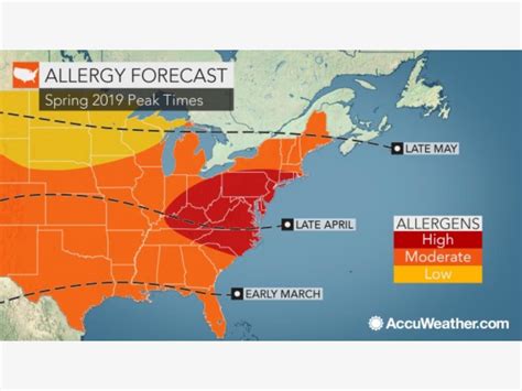 Allergy Season Set To Hit Ny Hard This Spring New York City Ny Patch