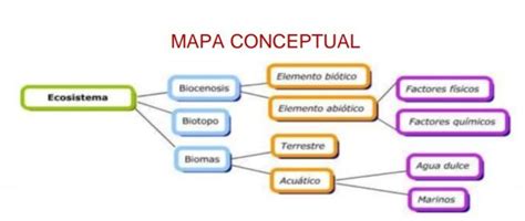 Analiza El Mapa Conceptual Ecosistemas Y Expl Quelos Brevemente En