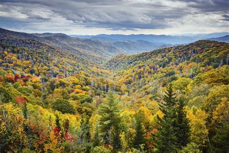 Top 3 Reasons To Stay In Gatlinburg Cabins In The Fall