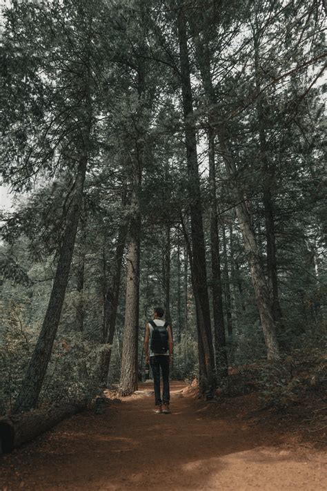 Man In Woods Pictures Download Free Images On Unsplash