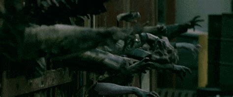 Horror Of The Zombies Gifs Find Share On Giphy
