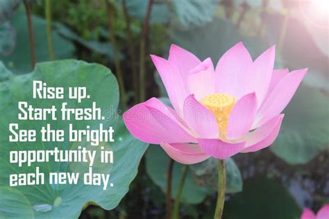 Inspirational Motivational Words Rise Up Start Fresh See The Bright Opportunity In Each New