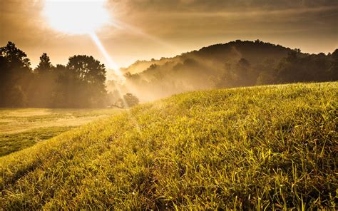 Landscape Photography Of Green Grass Field During Sunset Hd Wallpaper