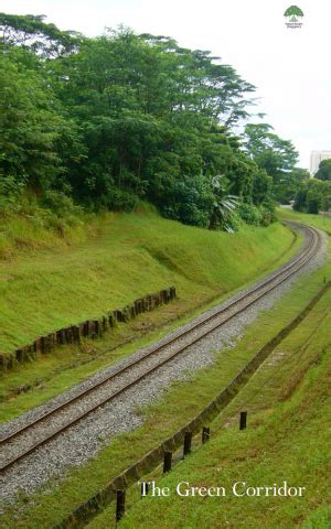 Nature society (singapore) (nss) proposes to retain the current ktm railway land as a green corridor after the train operations cease. Why We Should Have The Green Corridor | Green Future