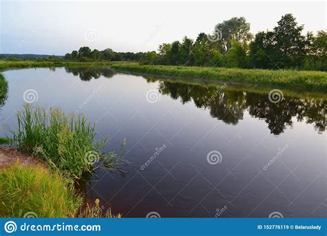 River Landscape On A Summer Evening In Belarus River Schara At Slonim