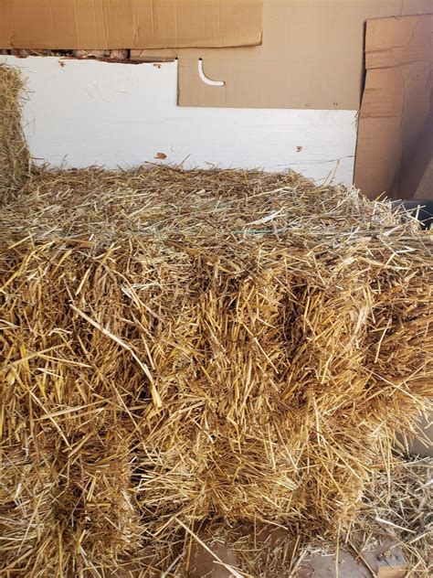 Bedding Straw Yorktown Feed And Seed N More Store