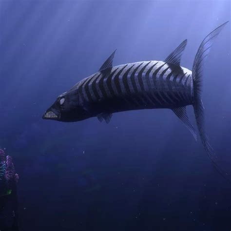 Barracuda attacks on humans, barracuda attack video, barracuda attack nemo, barracuda attacks in florida, barracuda attack puerto rico, barracuda attack effects. "Toy Story 4" Easter Egg: The Barracuda That Ate Nemo's ...